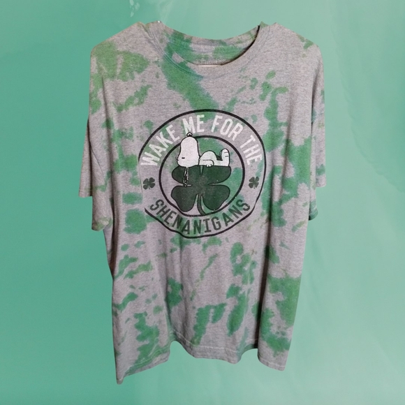 Peanuts Gray and Green Snoopy Tee - Picture 1 of 1